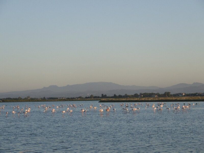 parco-naturale-ravenna-saline