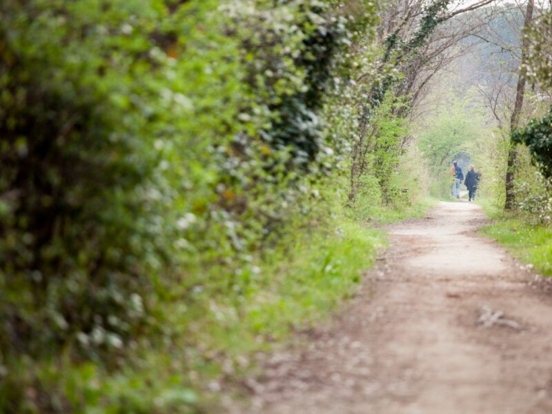 benessere-corpo-mente